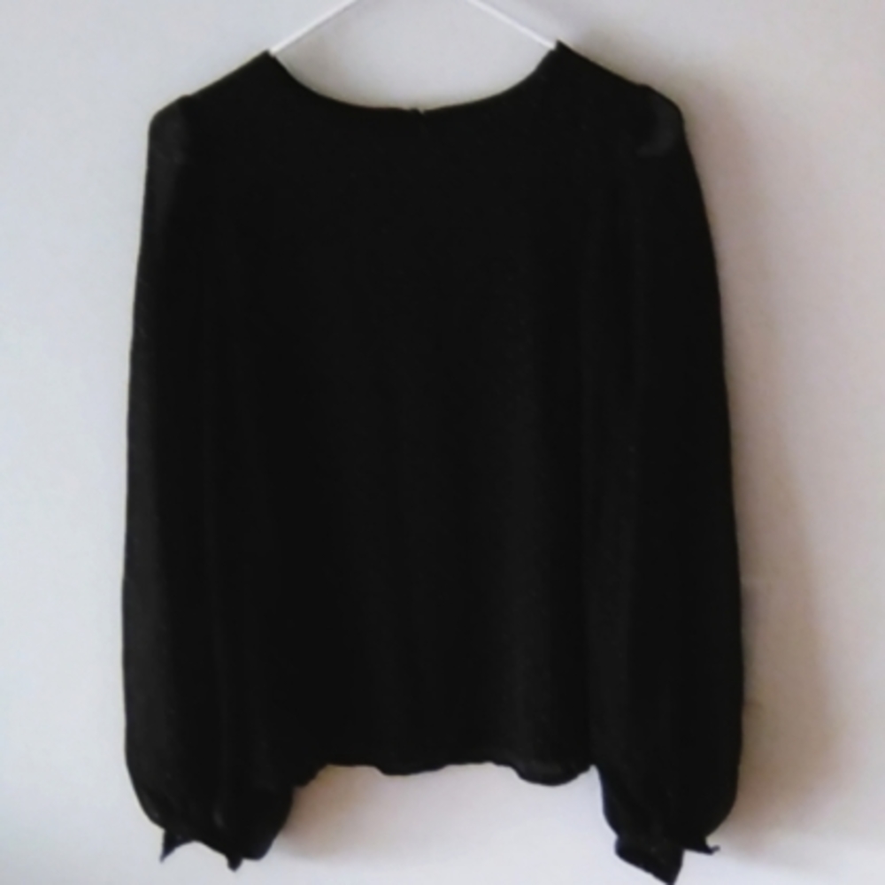 Women Sheer Long sleeve Who What Wear Blouse